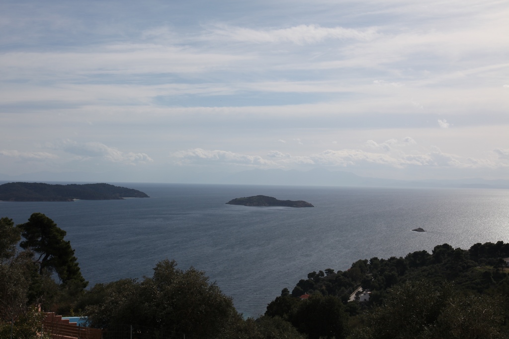 view